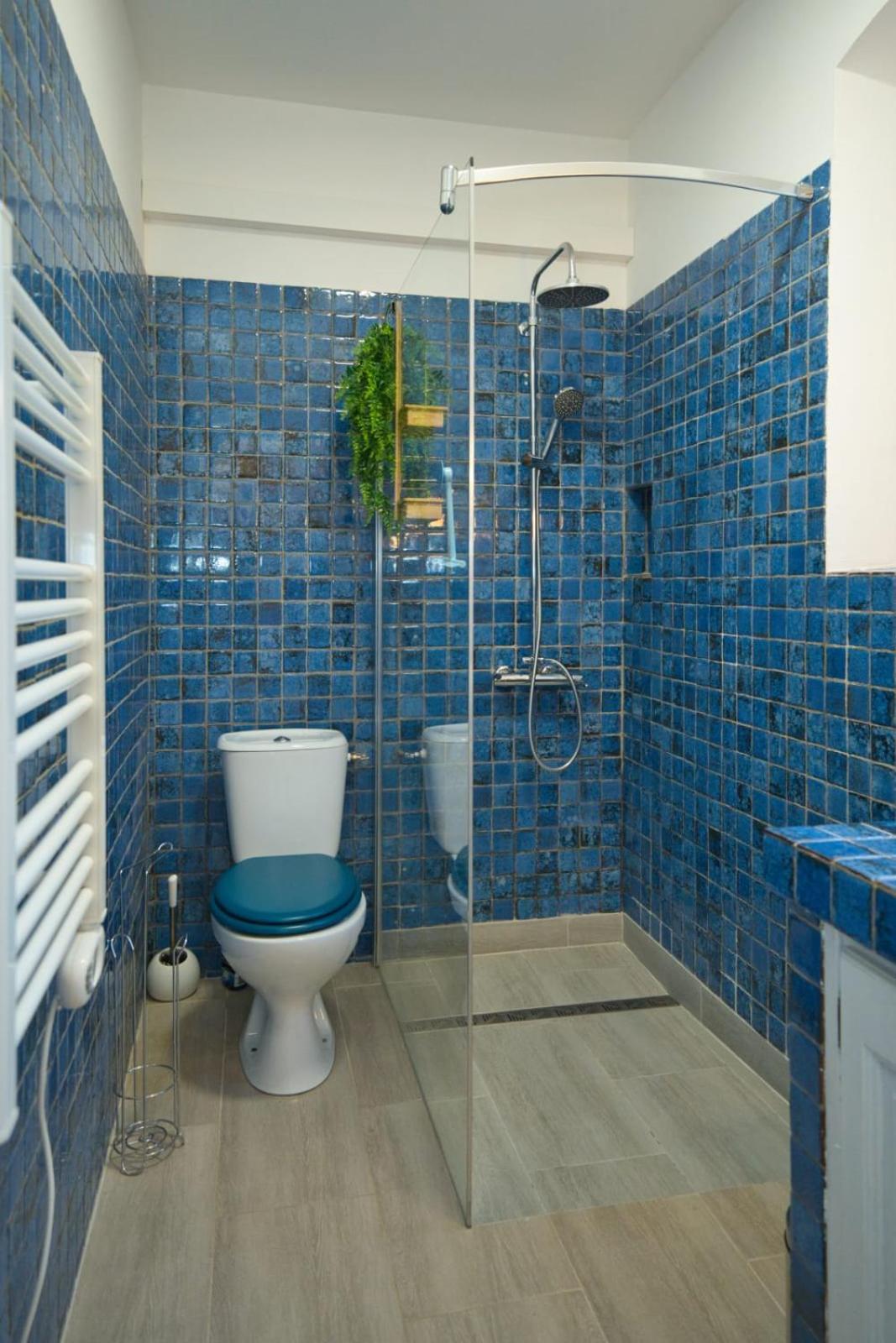 06Q - Biot Beautiful Provencal Villa With Swimming Pool المظهر الخارجي الصورة