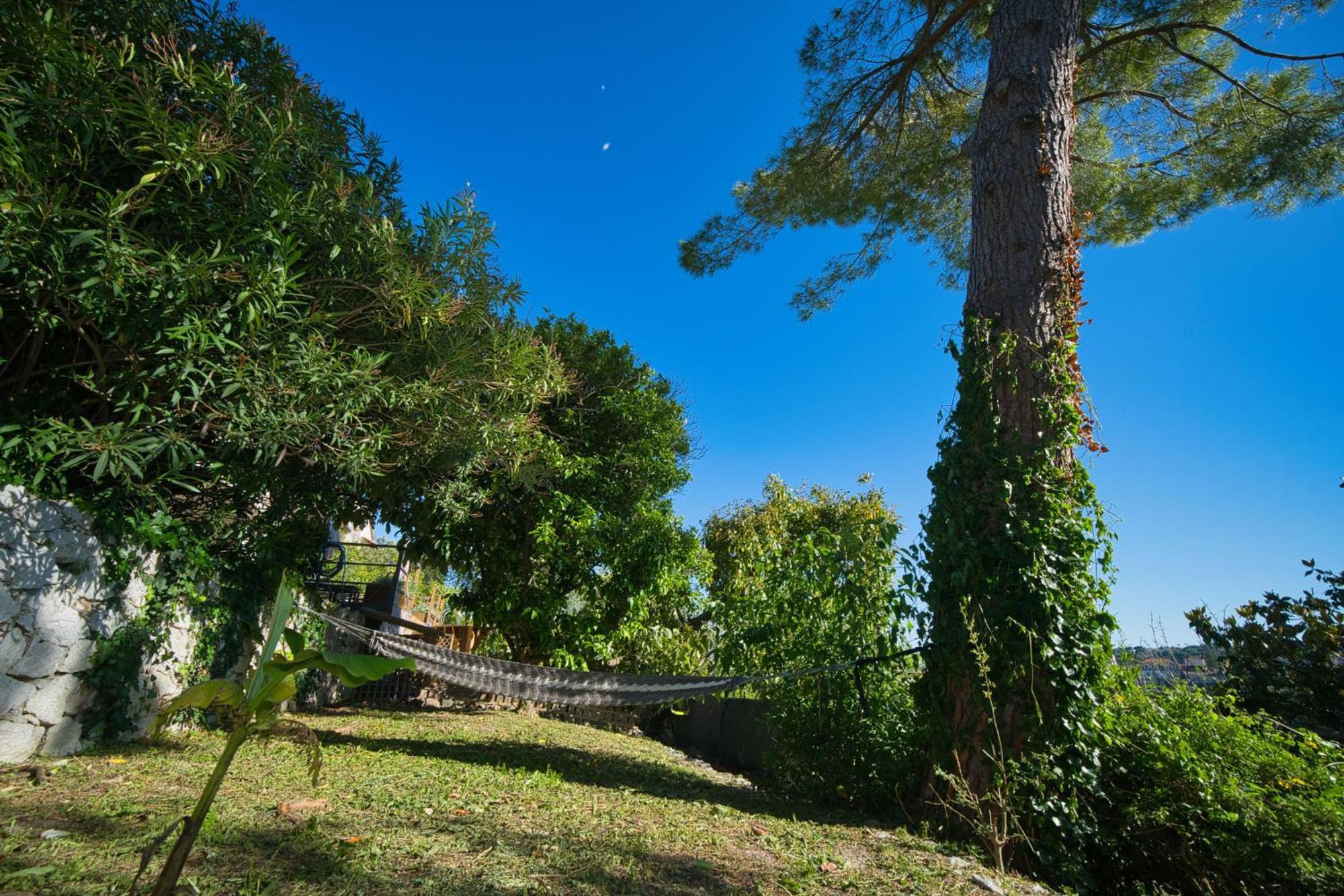 06Q - Biot Beautiful Provencal Villa With Swimming Pool المظهر الخارجي الصورة